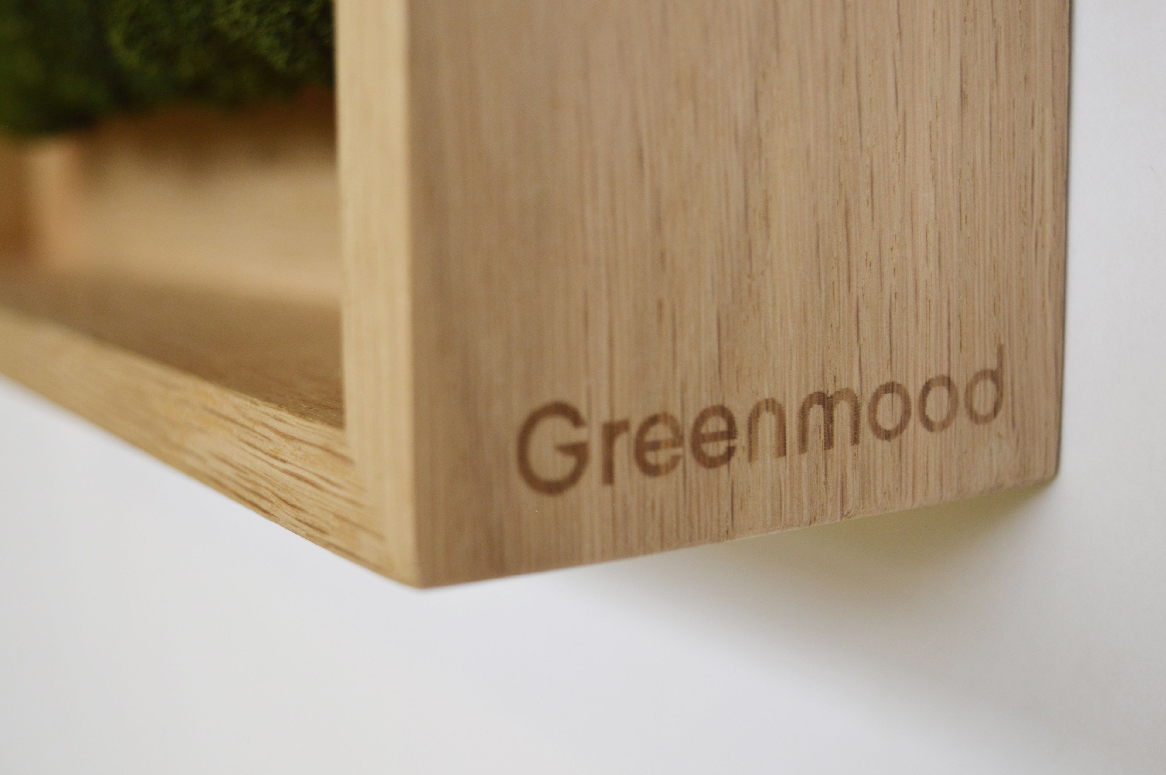 Акустическая панель из мха GREENMOOD FRAMED HARMONY ARCH-00128753 - Вид №20