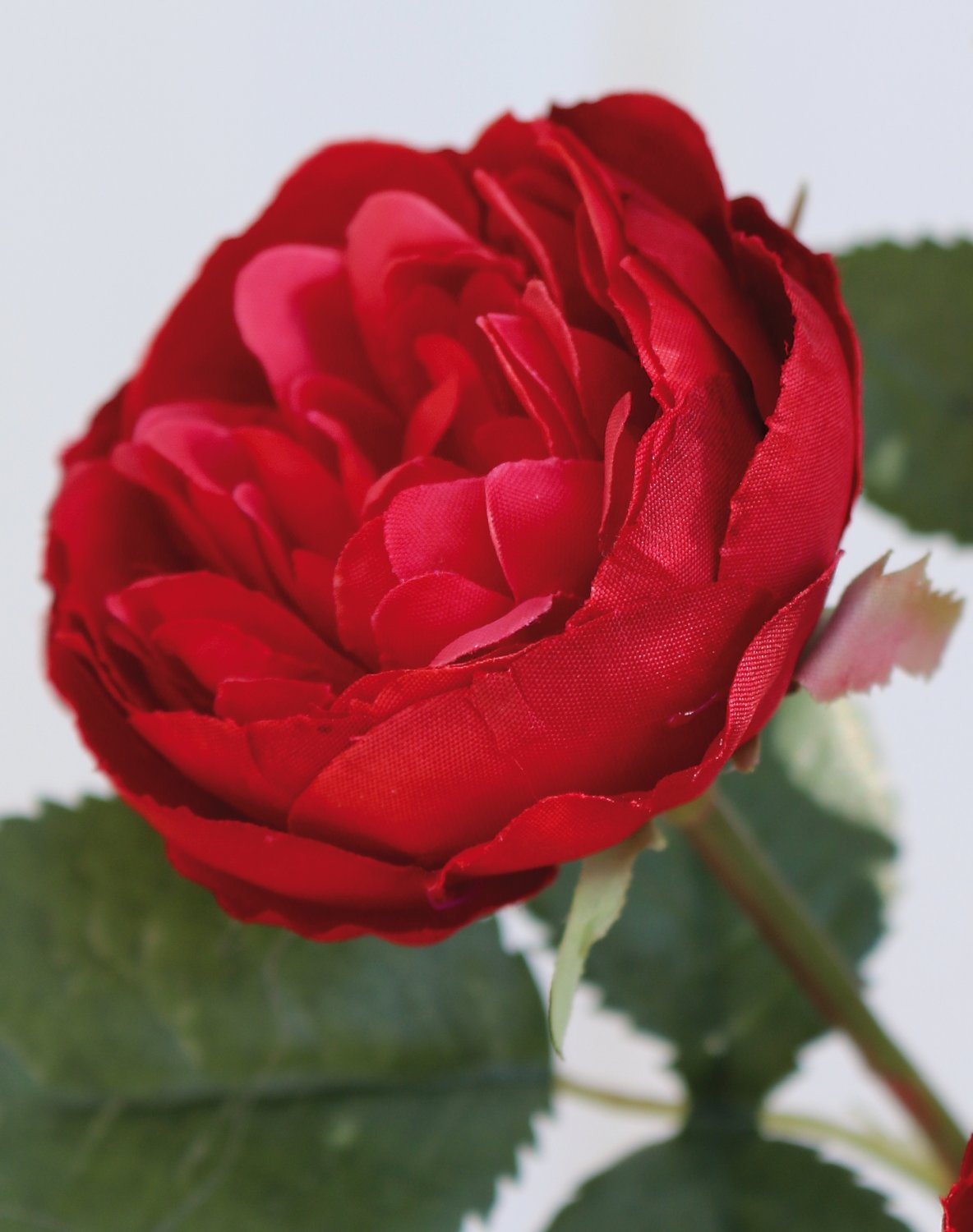 2591 444 a3 Искусственная роза, 4 цветка, 1 бутон, 57 см, красная H-andreas 