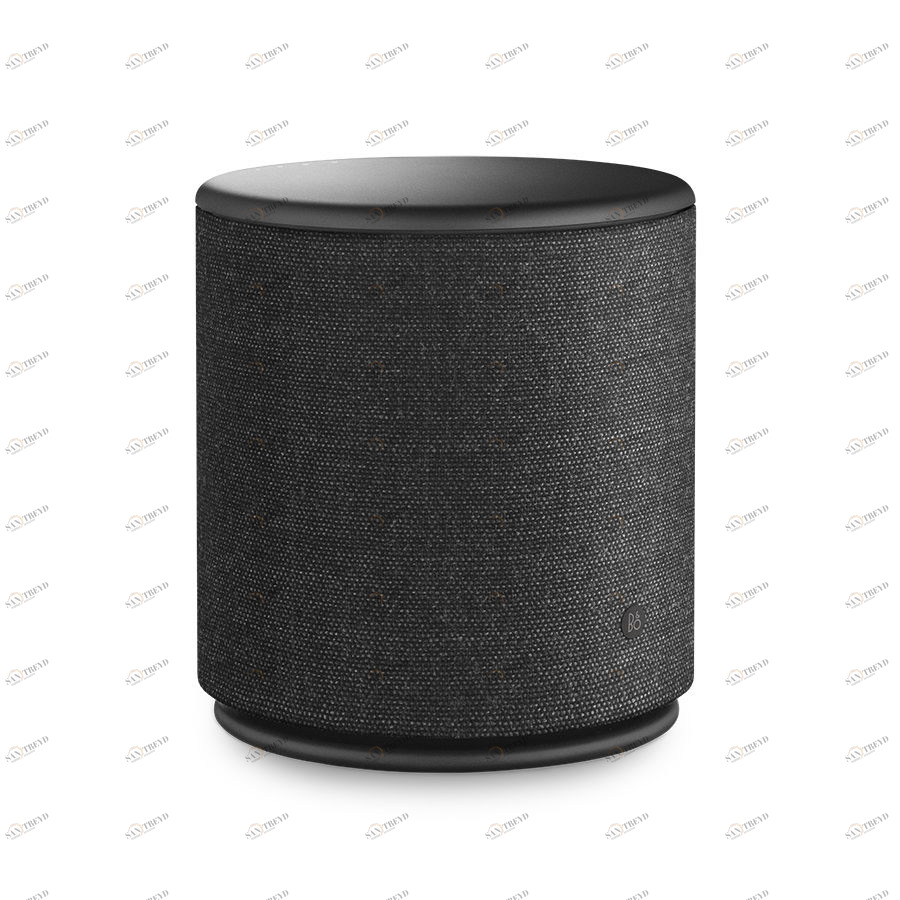 Акустика портативная BeoPlay M5, черная Bang & Olufsen 1200298