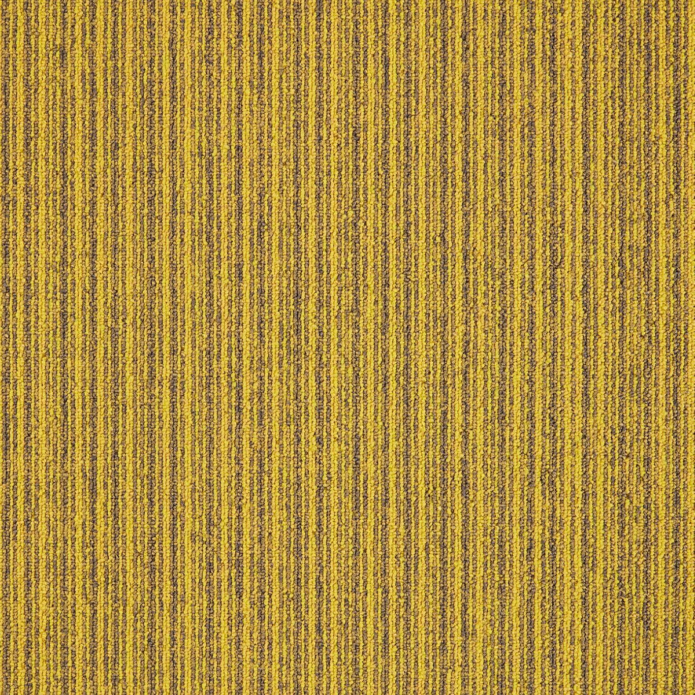 Нейлон®сплошной цвет ковер MODULYSS First ARCH-00082649 - Вид №7