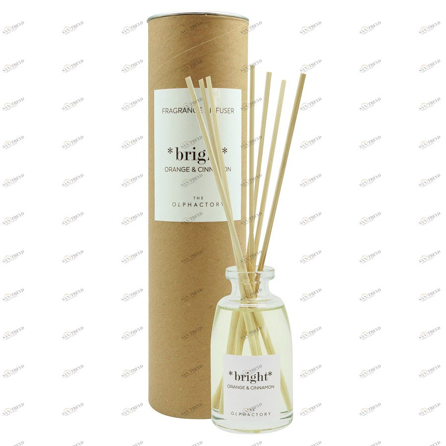 Диффузор ароматический 250 мл "Корица & Апельсин" Bright AMBIENTAIR  00-3881090 Серый 