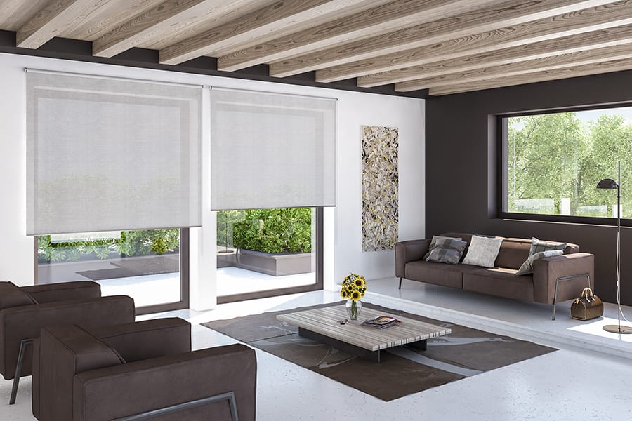 Роликовый занавес с приводом от лебедки Mv Line свободные рулонные шторы ARCH-00056258 - Вид №3