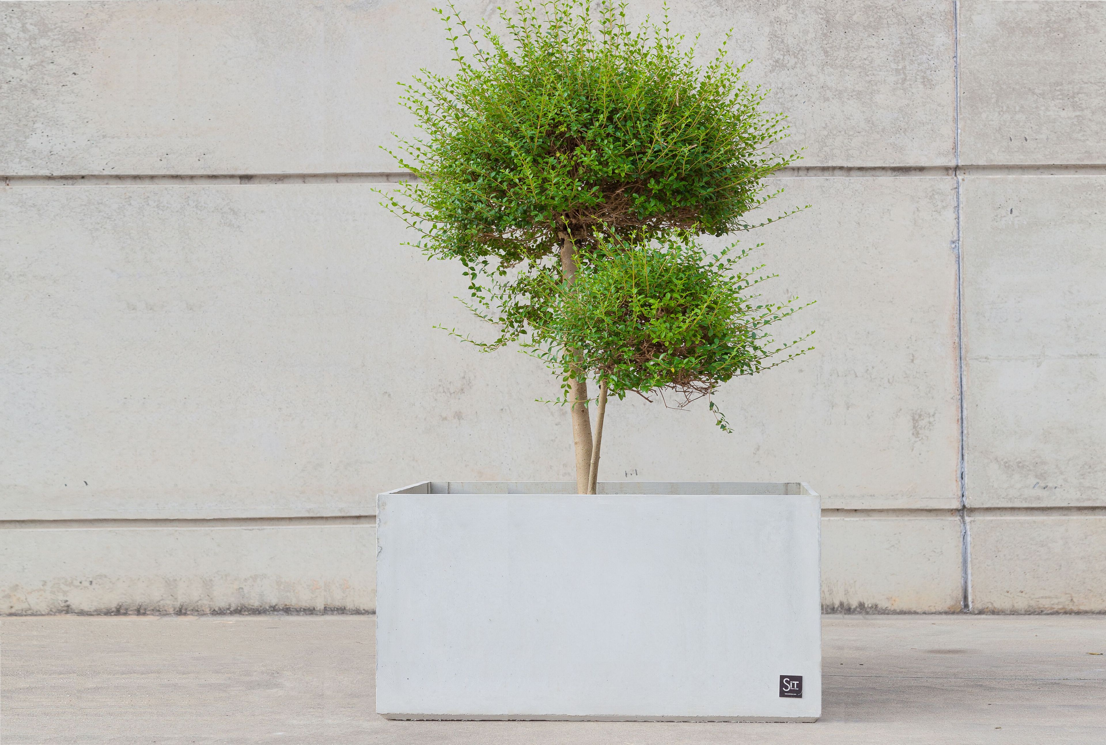 Квадратный плантатор из армированного волокном бетона SIT Cubic ARCH-00079442 - Вид №1