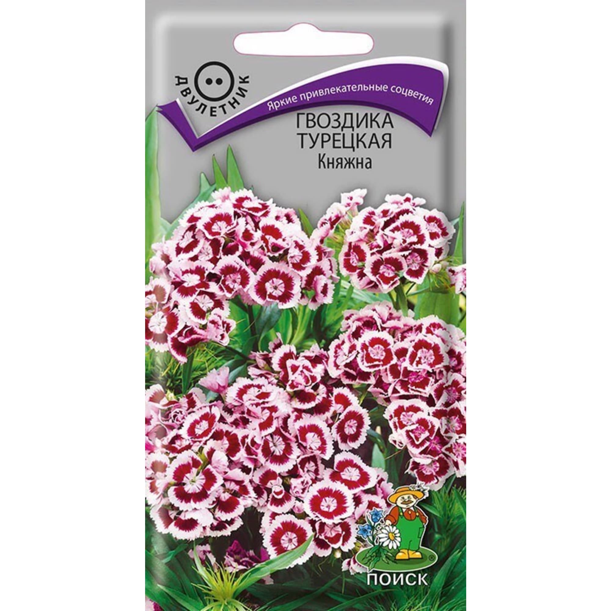 83227379 Семена Гвоздика Турецкая «Княжна» Santreyd 