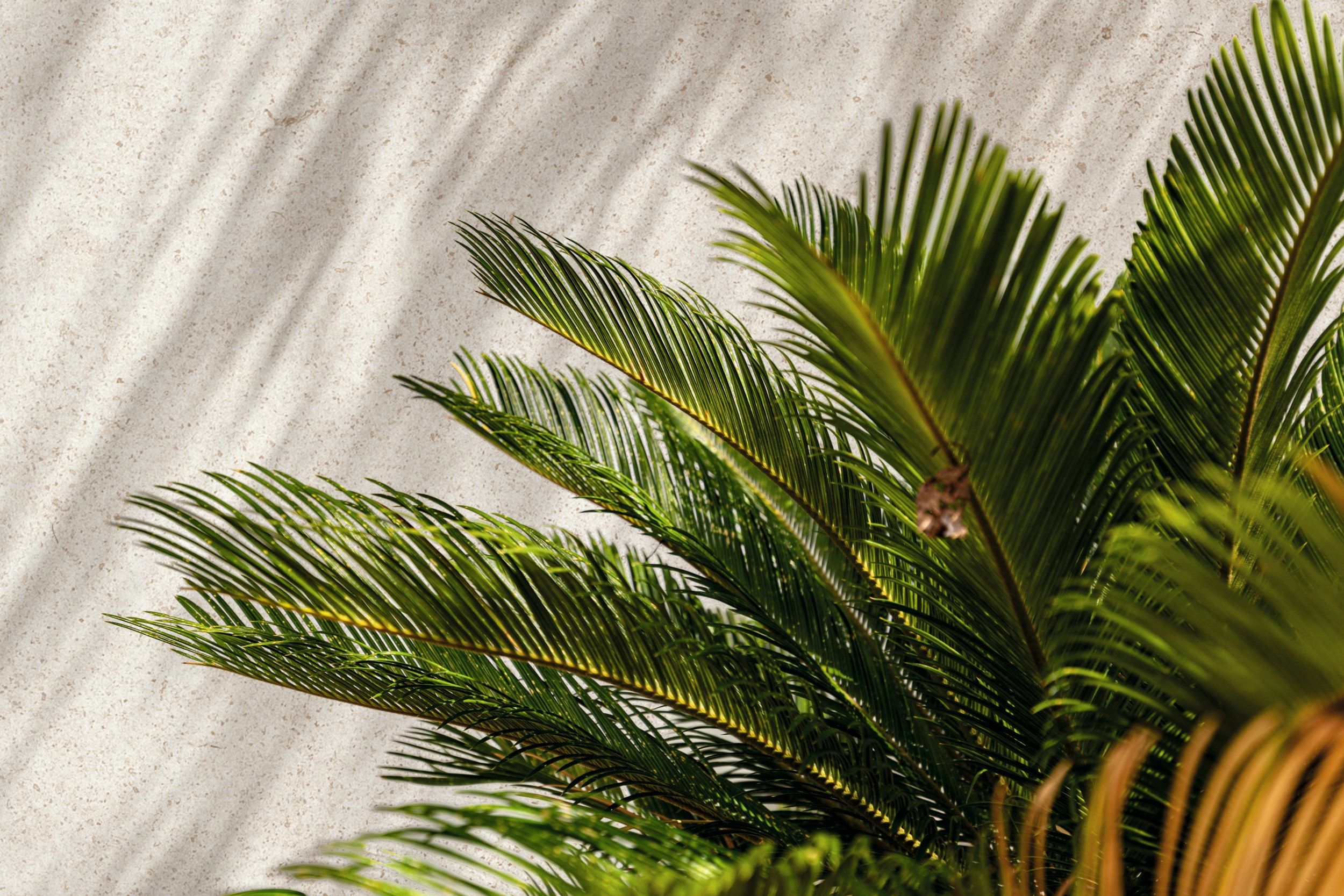 Пол / облицовка керамогранита для внутреннего и наружного применения с эффектом цемента Florim Ceramiche SENSI ARCH-00151192 - Вид №28