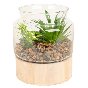 Декоративное растение Dream River в стеклянном горшке 17.5 см 89432357