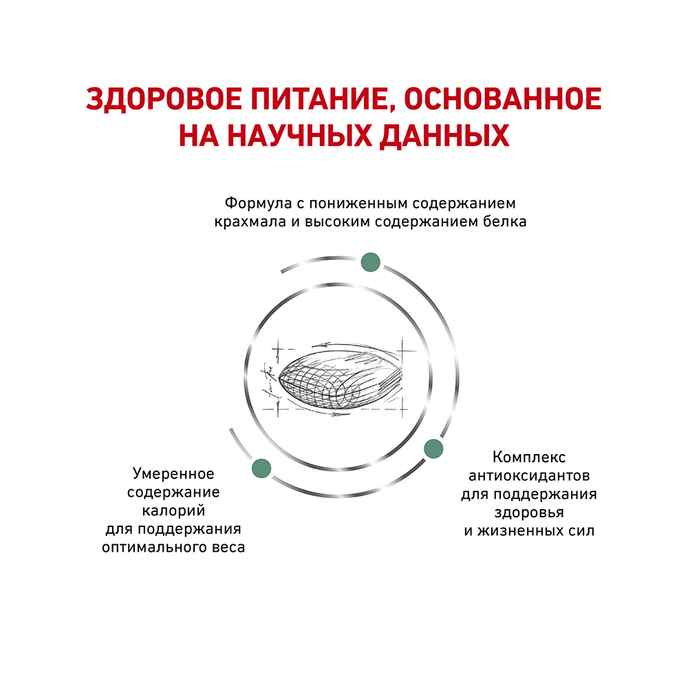 Т0023145 Корм для кошек Vet Diet Diabetic DS46 при сахарном диабете, птица сух. 400г ROYAL CANIN  - Вид №3