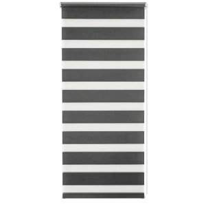 Штора рулонная день-ночь Silver 60x160 см графит 82614441 STLM-2102201