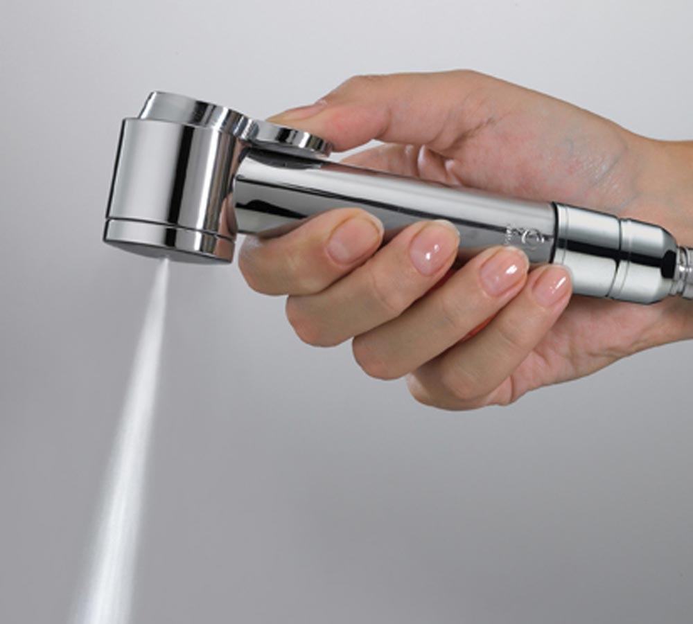 B00444 Душевая лейка PALOMA - WC BOSSINI  - Вид №1