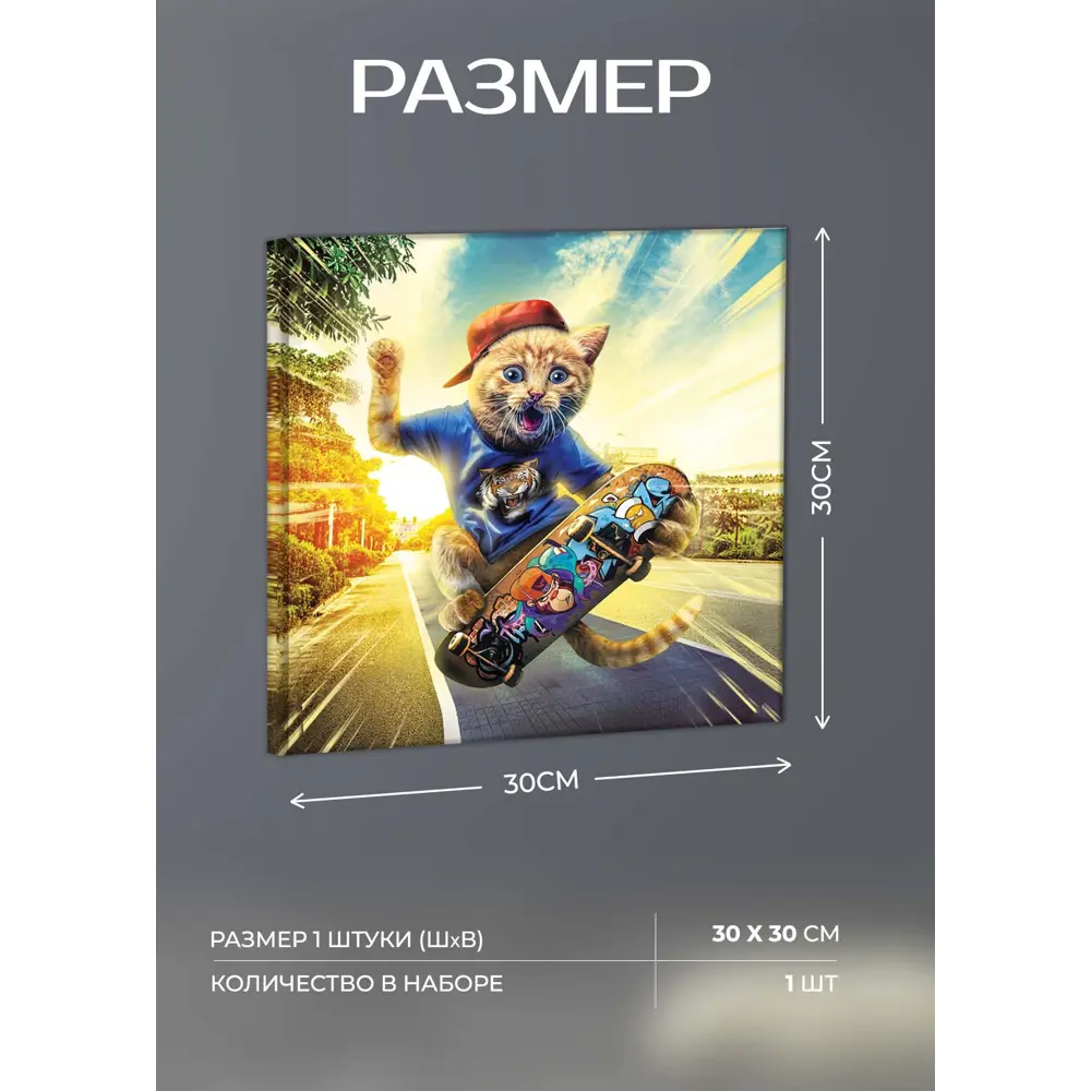 Картина на холсте Кот на скейте 30x30 см 87233235 STLM-2170859 FBRUSH  - Вид №3