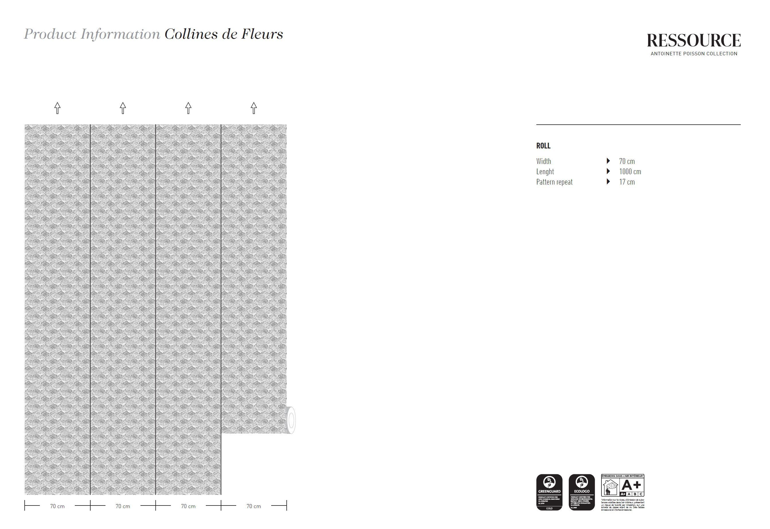 Обои с рисунком Ressource Антуанетта Пуассон ARCH-00055405 - Вид №3