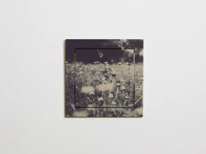 AMBIVALENZ Складная фанерная полка Fläpps shelf 40×40-1 Fl020049