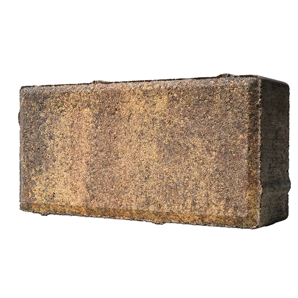 BRAER Плитка тротуарная Мальва 200x100 мм - яркий акцент для садовых дорожек 82770033 STLM-0035753 - Вид №1