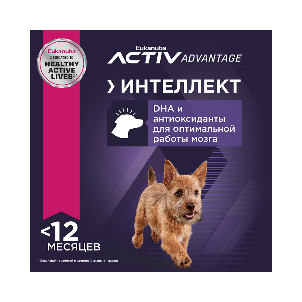 ПР0033545 Корм для щенков для мелких пород сух. 3кг Eukanuba  - Вид №2