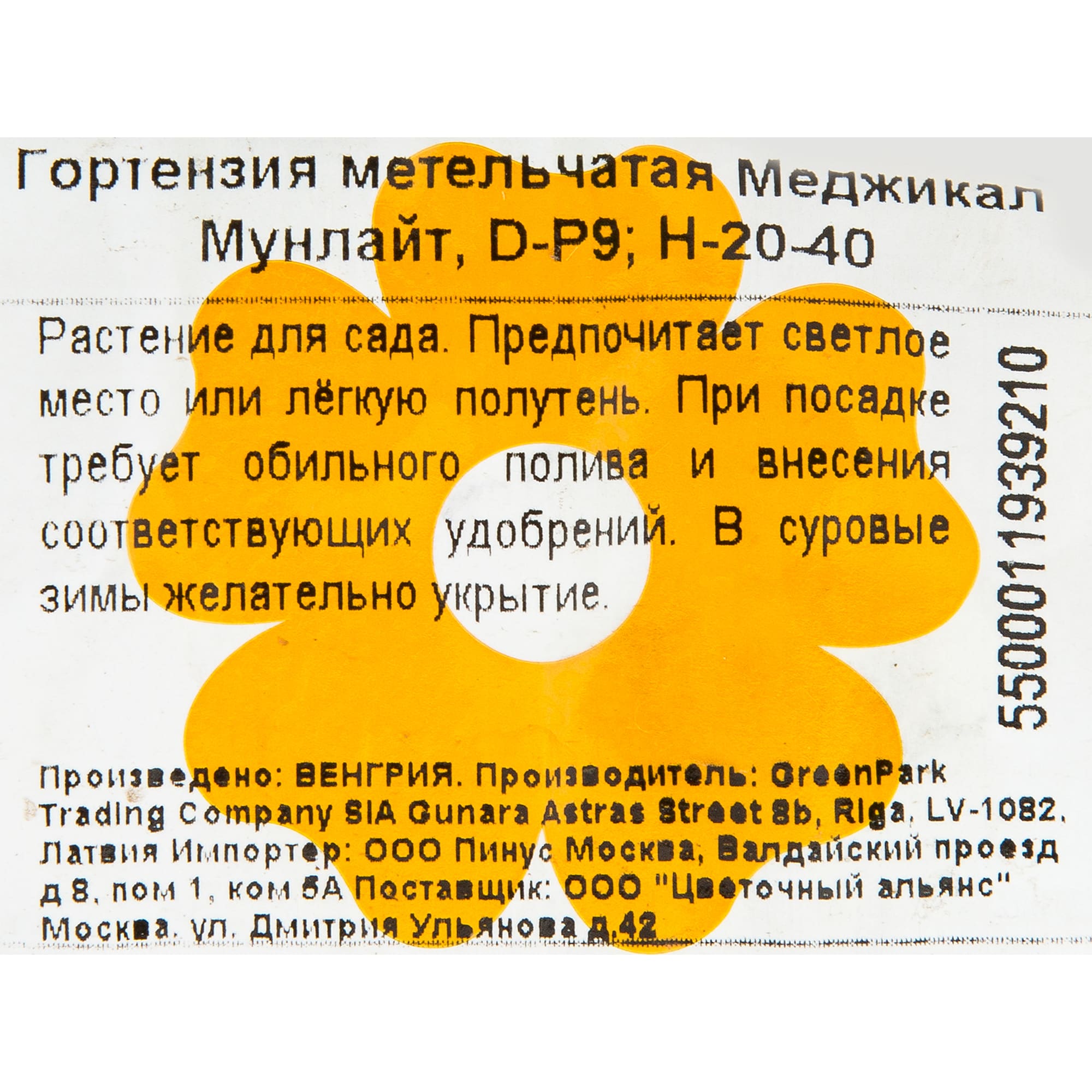 15711420 Гортензия метельч Мэджикал Мунлайт, P9 Santreyd 