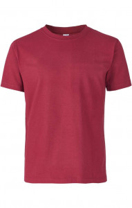 4958281 Футболка бордовая  Одежда для официантов  размер 3XL(56-58)