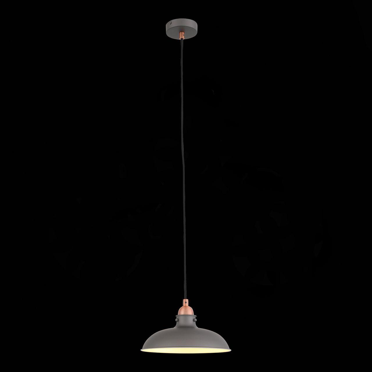 Подвесной светильник ST Luce Pietanza SL323.403.01 ST LUCE PIETANZA 139353 Серый  - Вид №2