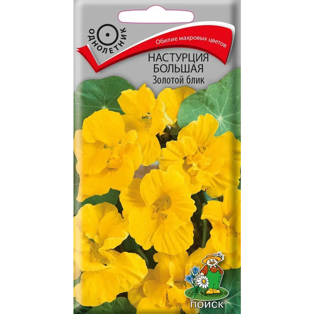 Настурция большая Золотой блик от ПОИСК - золотисто-желтые цветы для вертикального озеленения 89401261 STLM-1568237