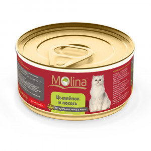 ПР0019433 Корм для кошек Цыпленок с лососем в желе банка 80г Molina