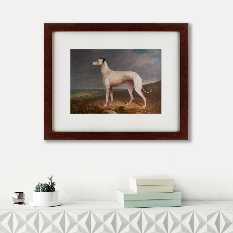 Картина в деревянной раме 52х42 см Portrait of a Greyhound, 1744 КАРТИНЫ В КВАРТИРУ  135546 Бежевый;белый;коричневый;разноцветный  - Вид №1