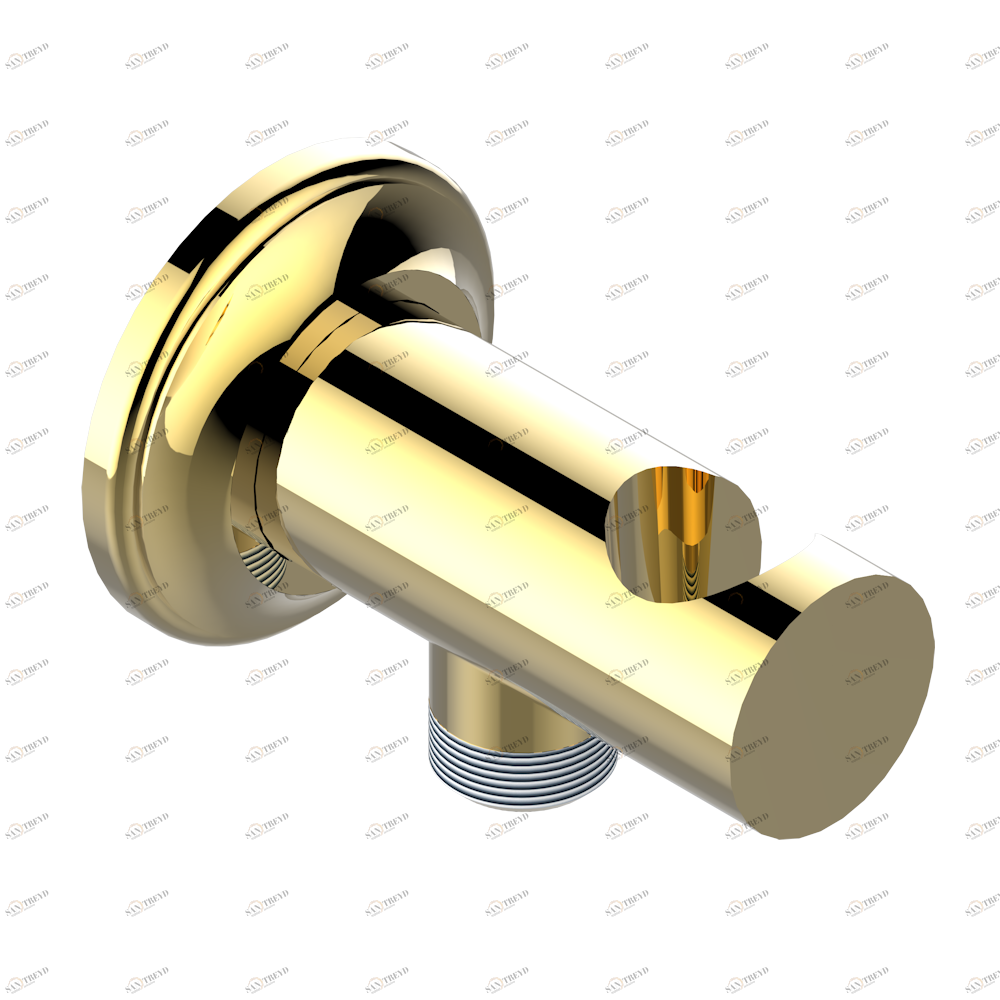 A52-53L Вывод встраиваемый в стену с крючком Thg-paris Broadway Золото A52-53L CAT.F