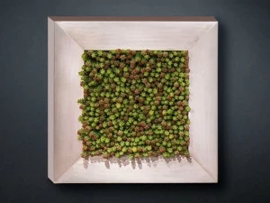 VGnewtrend Овощной каркас  1141610.60