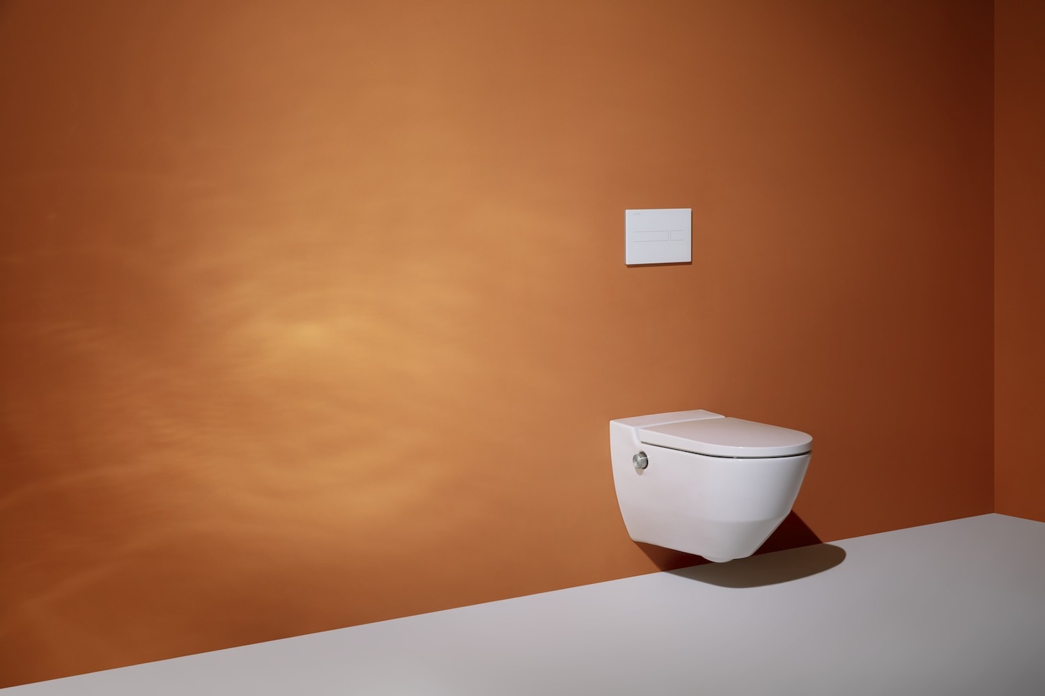 H8206014000001 Подвесной унитаз-биде, безободковый rimless, включает в комплект съемное сиденье с крышкой с механизмом "мягкое закрывание" LAUFEN PRO - Вид №48