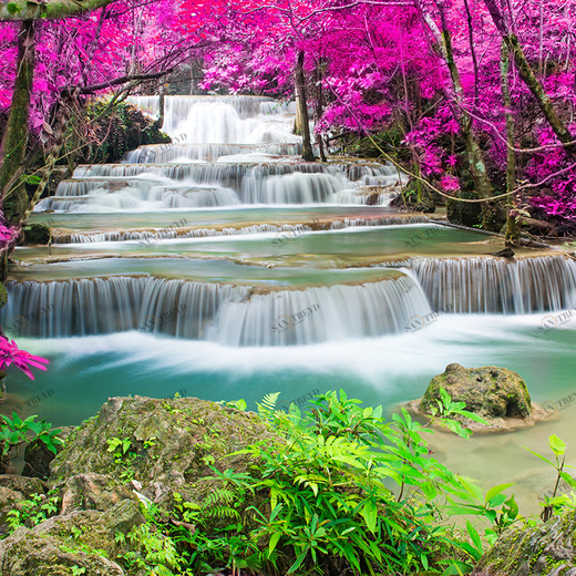 B1-079 Фотообои DIVINO Collection B 2.7х3 м B1079