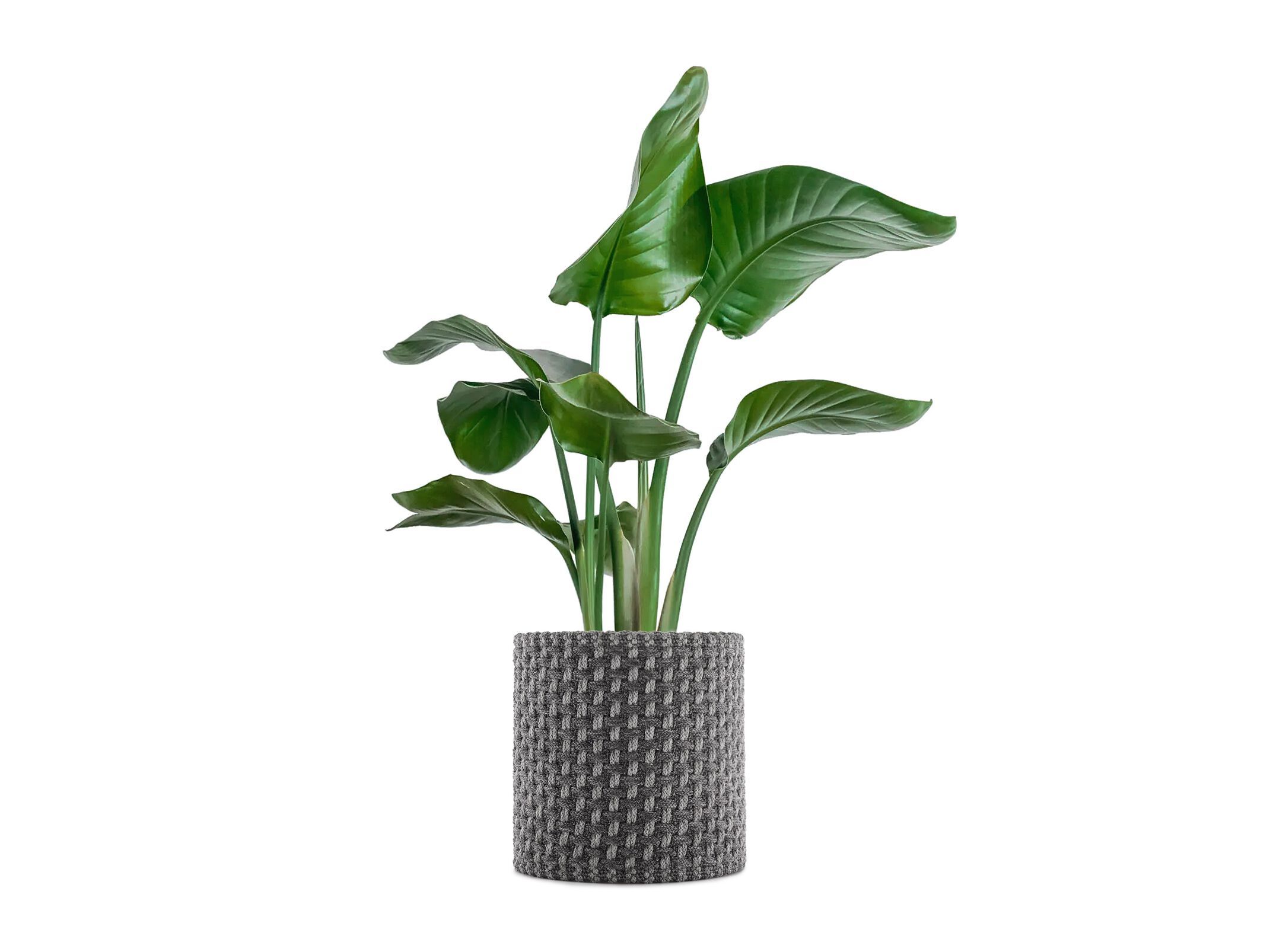 Круглая ваза из переработанной ткани Kartell KLEO ARCH-00145213 - Вид №7