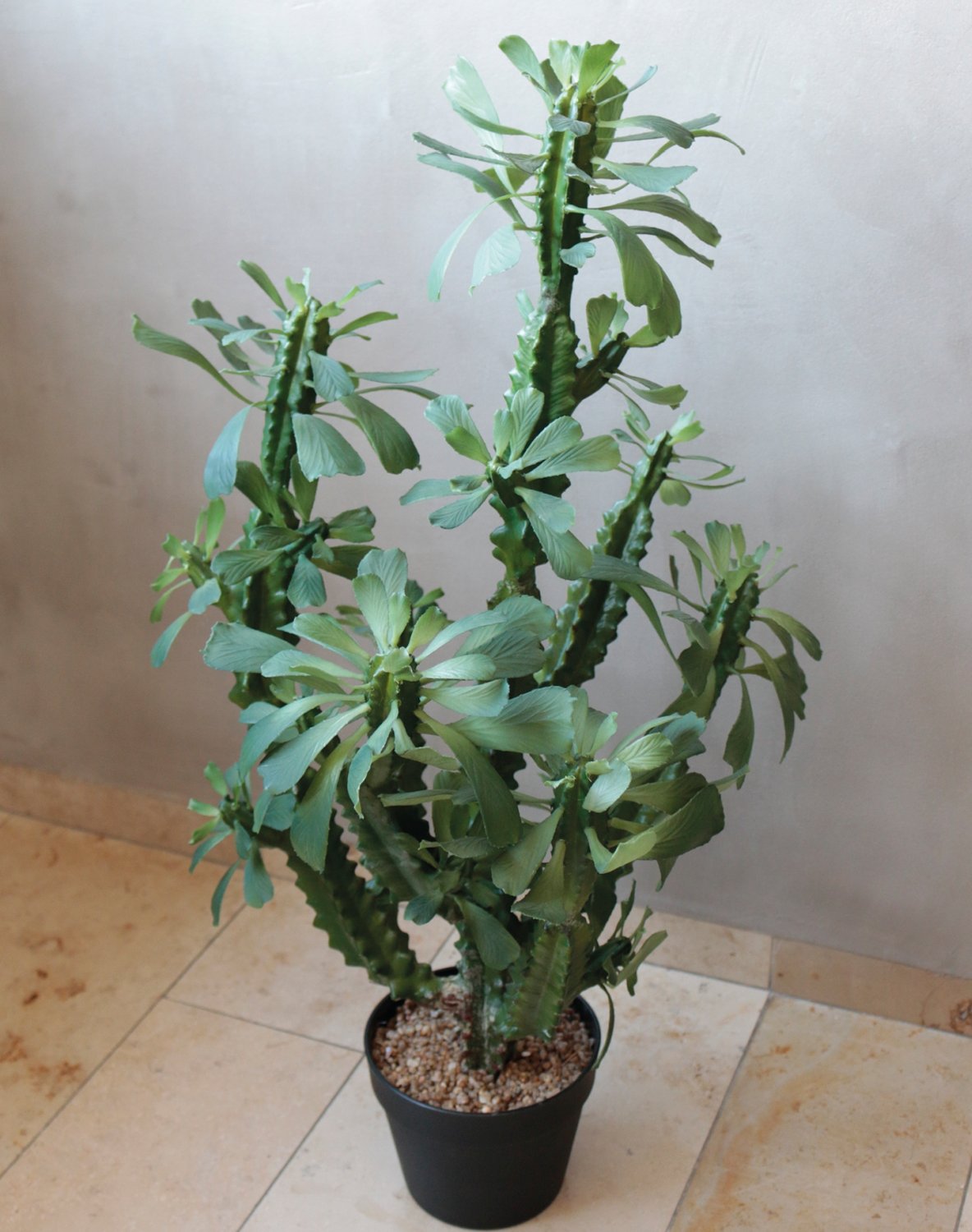 6148 883 a3 Молочай искусственный тригона, горшечный, 88 см, зеленый H-andreas  - Вид №7