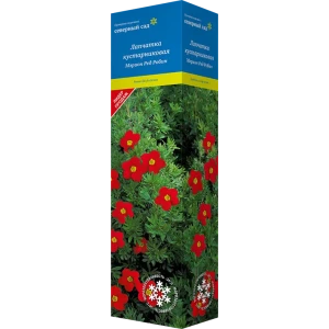 Лапчатка кустарниковая Северный сад Мэрион Ред Робин 82527784 STLM-2093894