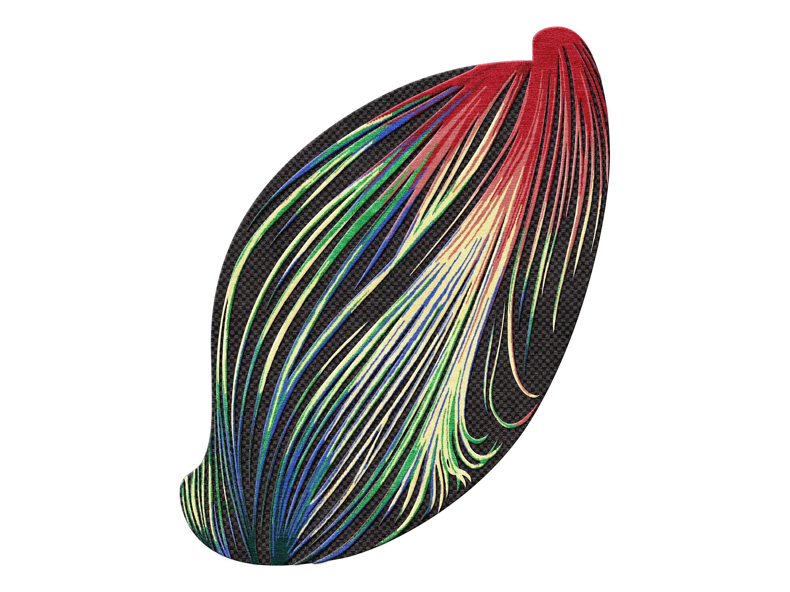 Изогнутый ковер ручной работы Tapis Rouge электрический ARCH-00091820