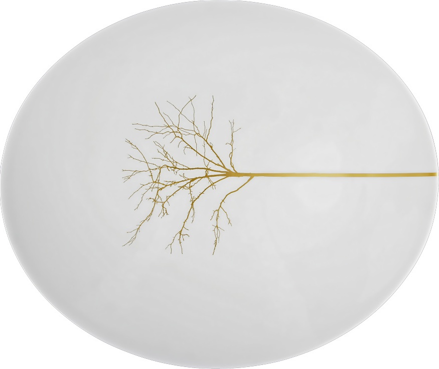 85123 Dibbern Блюдо овальное Dibbern "Золотой лес" 39см Фарфор костяной 