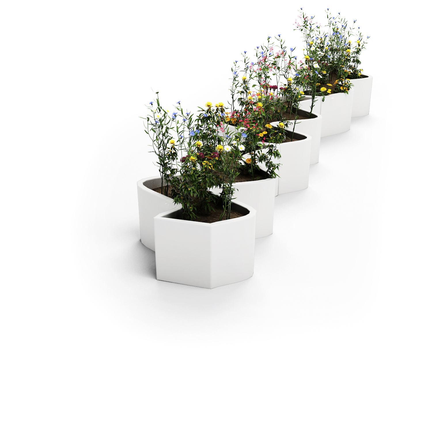 Curly Details Lab23 Плантаторы  - Вид №2