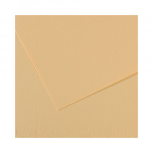 200321127 Бумага для пастели Mi-Teintes 160 г/м2 75 х 110 см лист №407 кремовый Canson