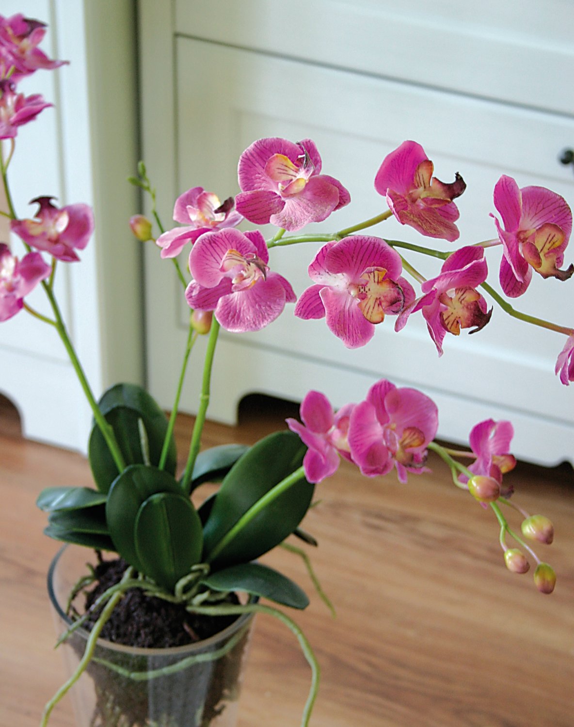 2579 515 a2 Пластиковая орхидея Phalaenopsis, ваза с водой, 80 см, real touch, розовая H-andreas 