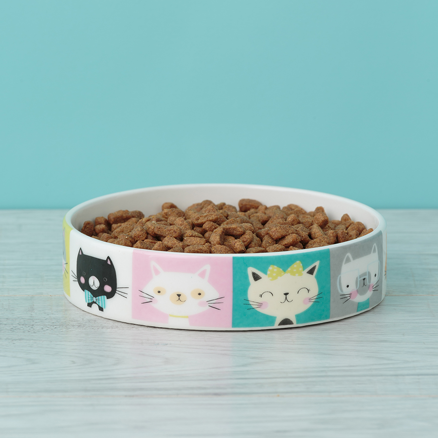 2030.474 Миска для кошек pawtrait, D13 см, 250 мл Mason Cash  - Вид №1