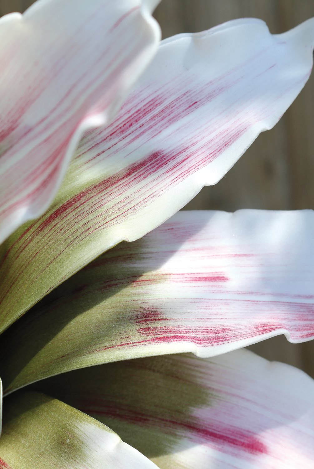 7955 508 a3 Искусственный мягкий цветок агавы, 90 см, розово-зеленый H-andreas  - Вид №2