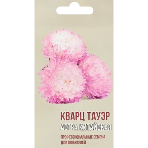 Астра китайская Кварц тауэр