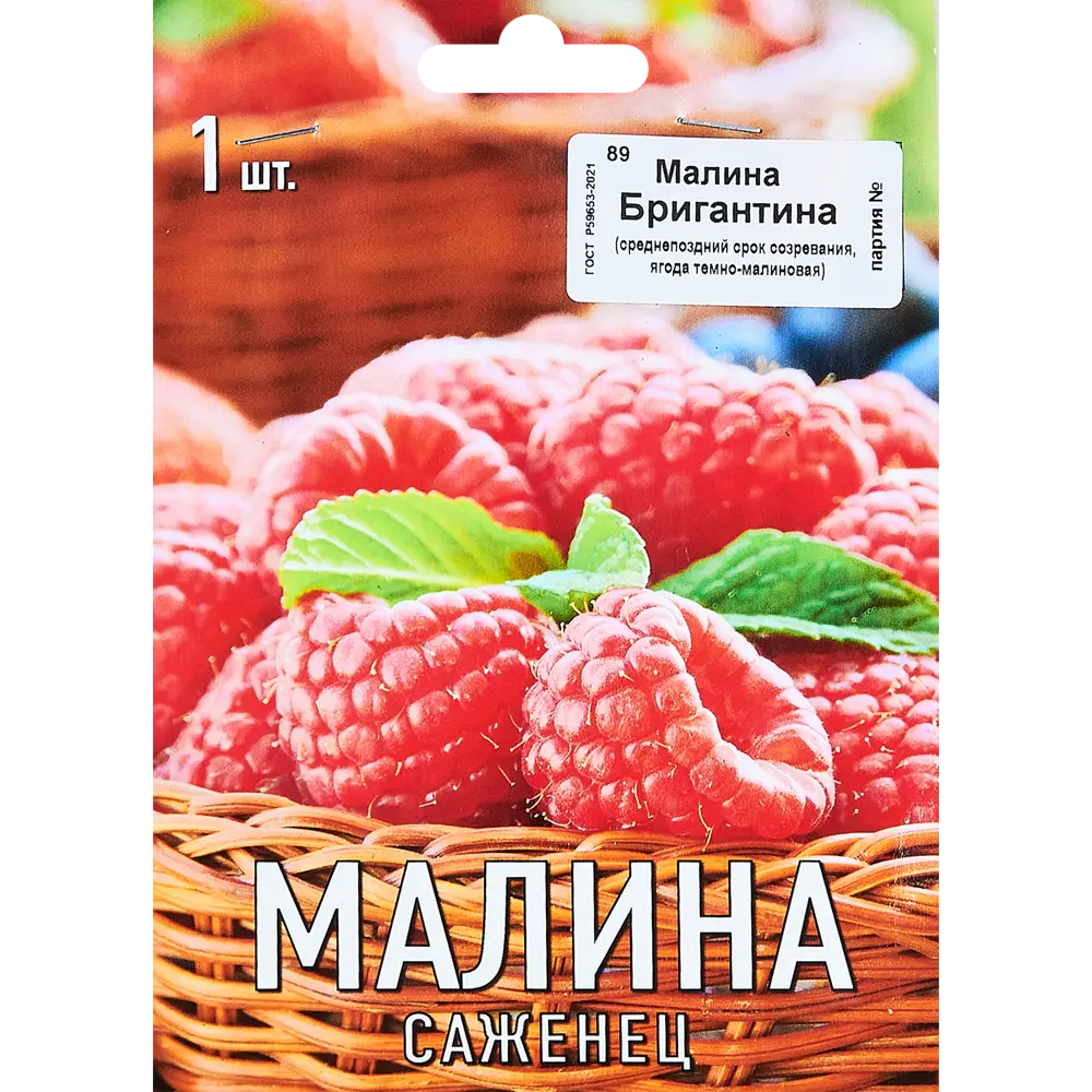 Малина Бригантина капер h10 см 89353441 STLM-2194463 Santreyd 