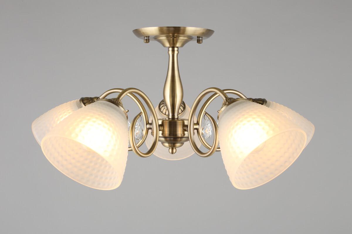 Потолочная люстра Omnilux Rezzato OML-65407-05 OMNILUX REZZATO 328319 Белый;бронза  - Вид №2