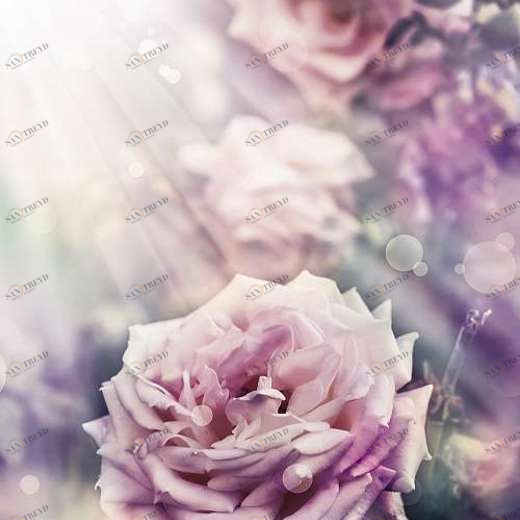 P-107 Фотообои DIVINO L&P 2х2.7 м P107