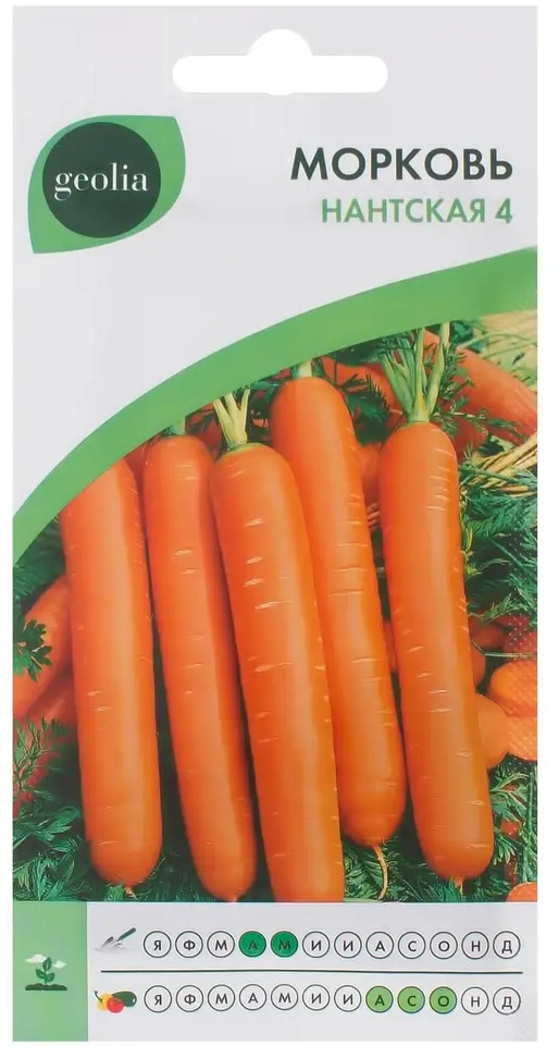 Морковь Geolia Нантская 4 — сладкий сорт для длительного хранения 17585041