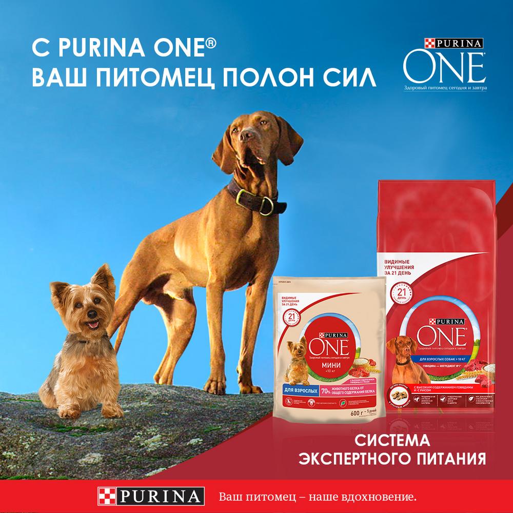 ПР0053578 Корм для собак ONE Mini говядина, картофель, горох пауч 85г PURINA  - Вид №2