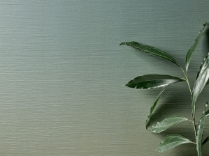 Белая паста керамическое покрытие