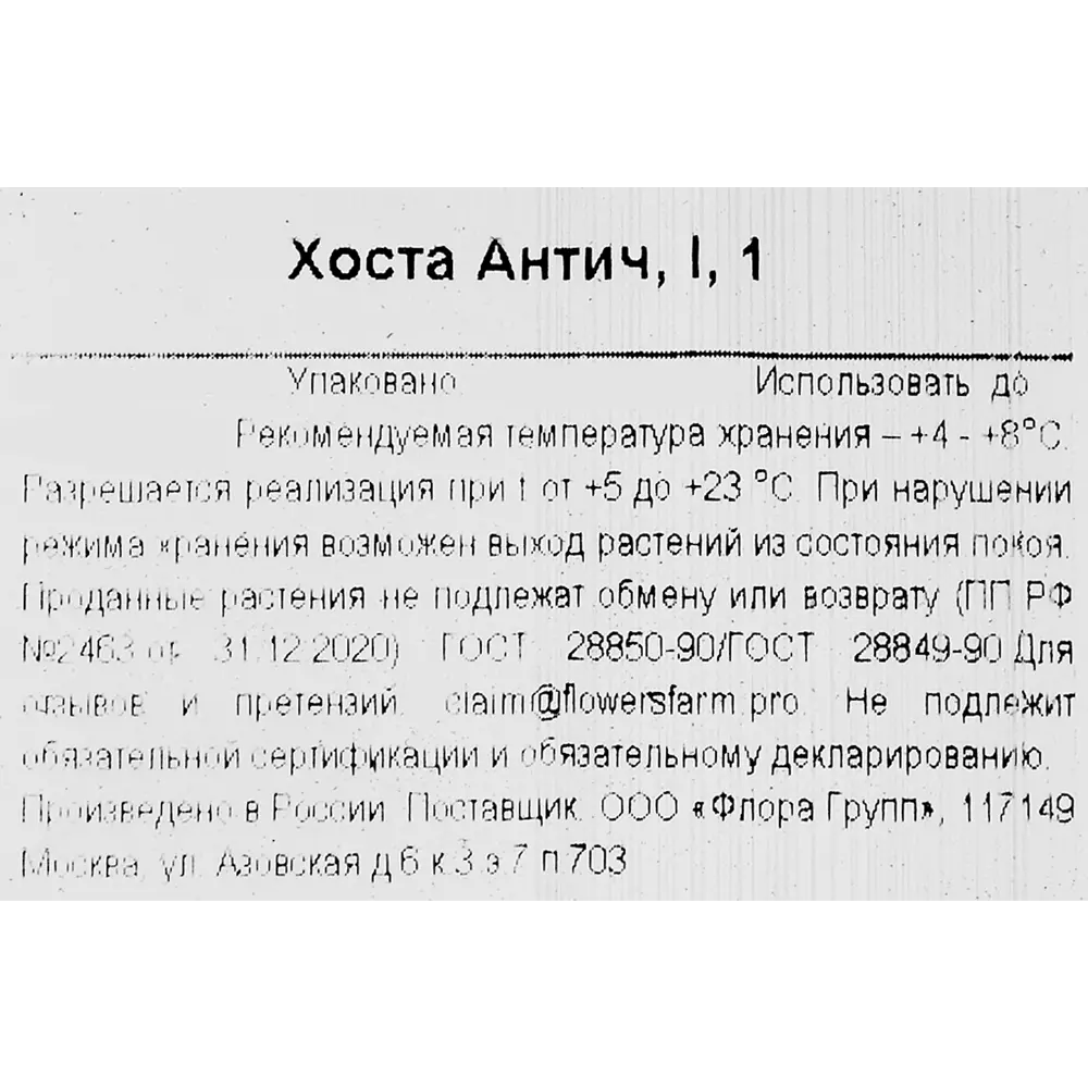 Хоста Антич 86735682 STLM-2068317 Santreyd  - Вид №2