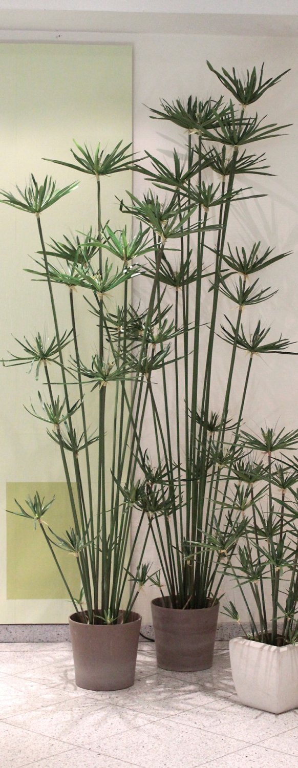 5474 883 a3 Искусственные орехи в горшках, 105 см, зеленые H-andreas  - Вид №4