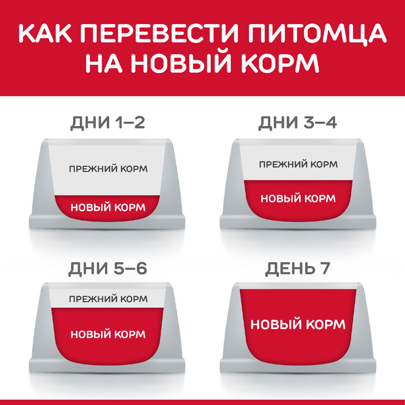 ПР0037505 Корм для собак Hill"s для миниатюрных пород с чувствительным пищеварением, курица сух. 3кг Hill's  - Вид №5