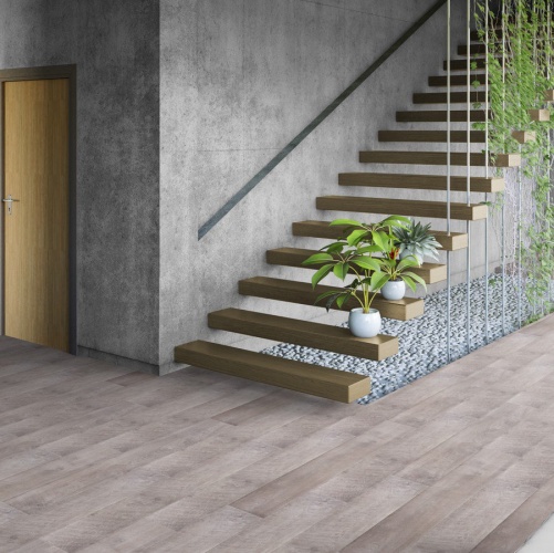 Ламинат Tarkett Дуб Венсен современный 3000100079 - Вид №1