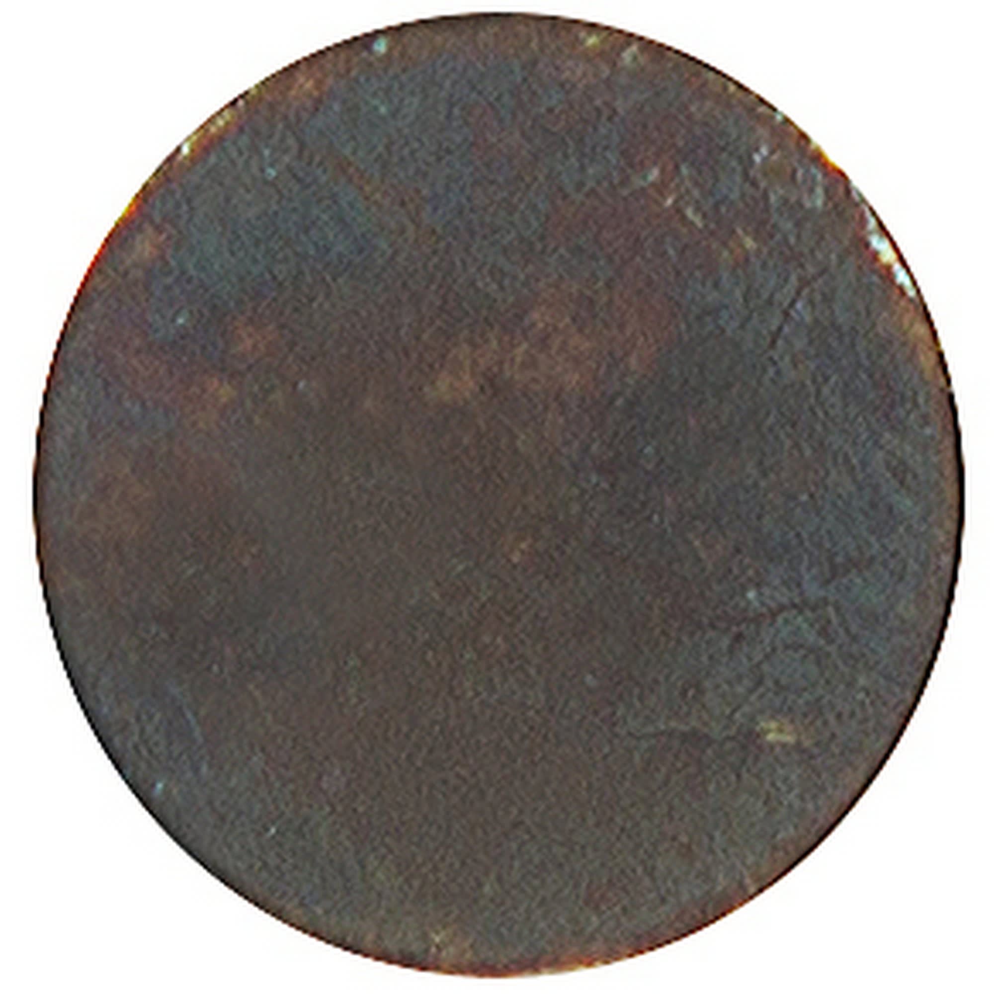 14652350 Гвоздь финишный бронзовые 1.4х30, 50 шт Santreyd  - Вид №1